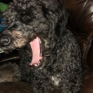 Meet your Posher, Kelli